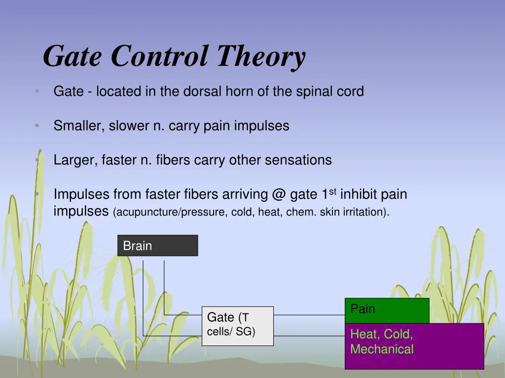 gate control theory 1