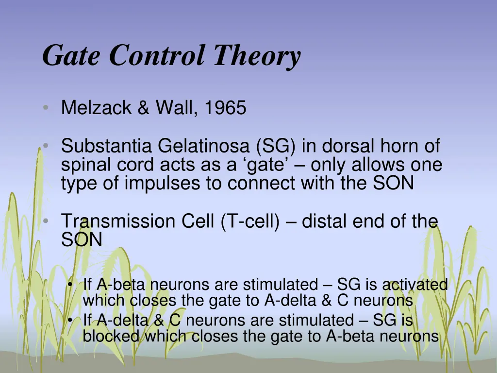 gate control theory