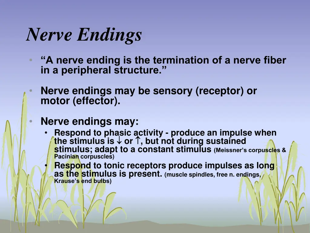 nerve endings