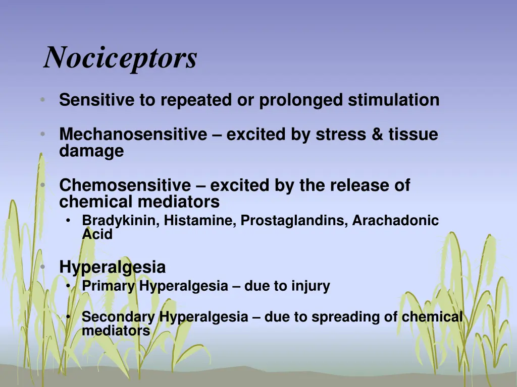 nociceptors