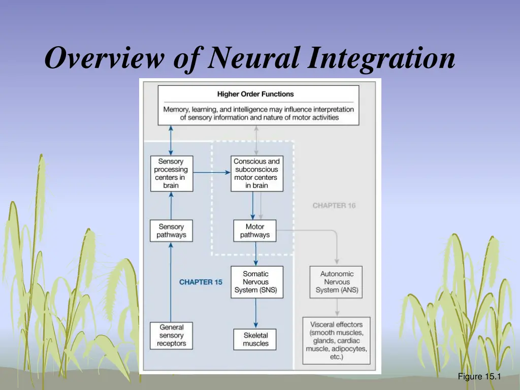 overview of neural integration