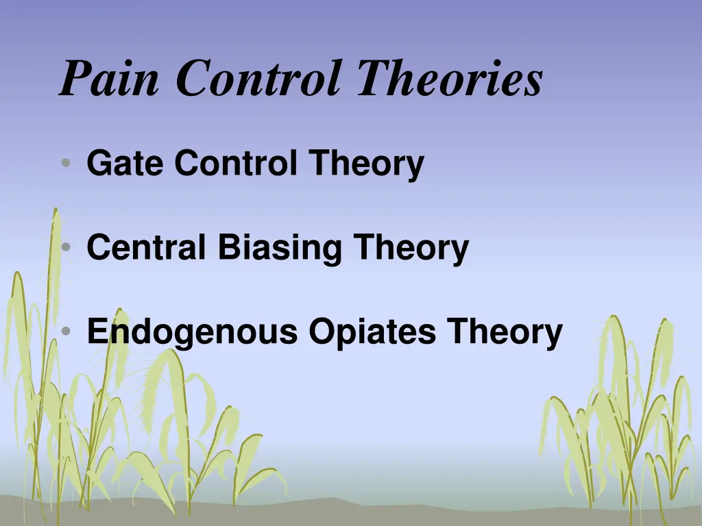 pain control theories