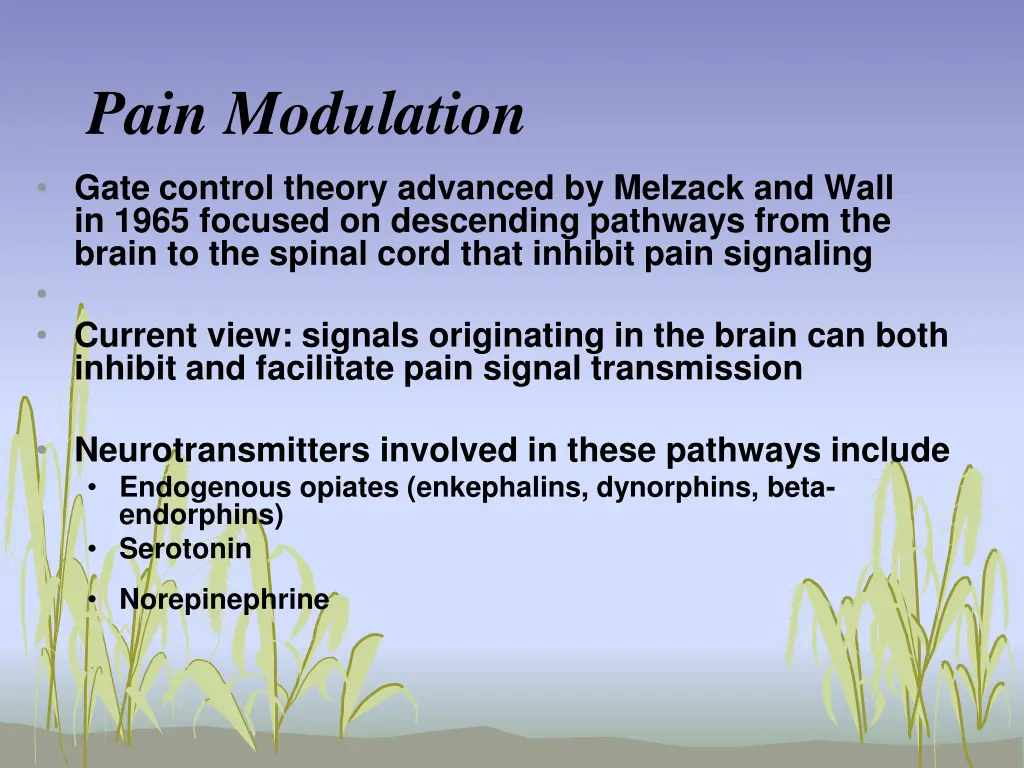 pain modulation