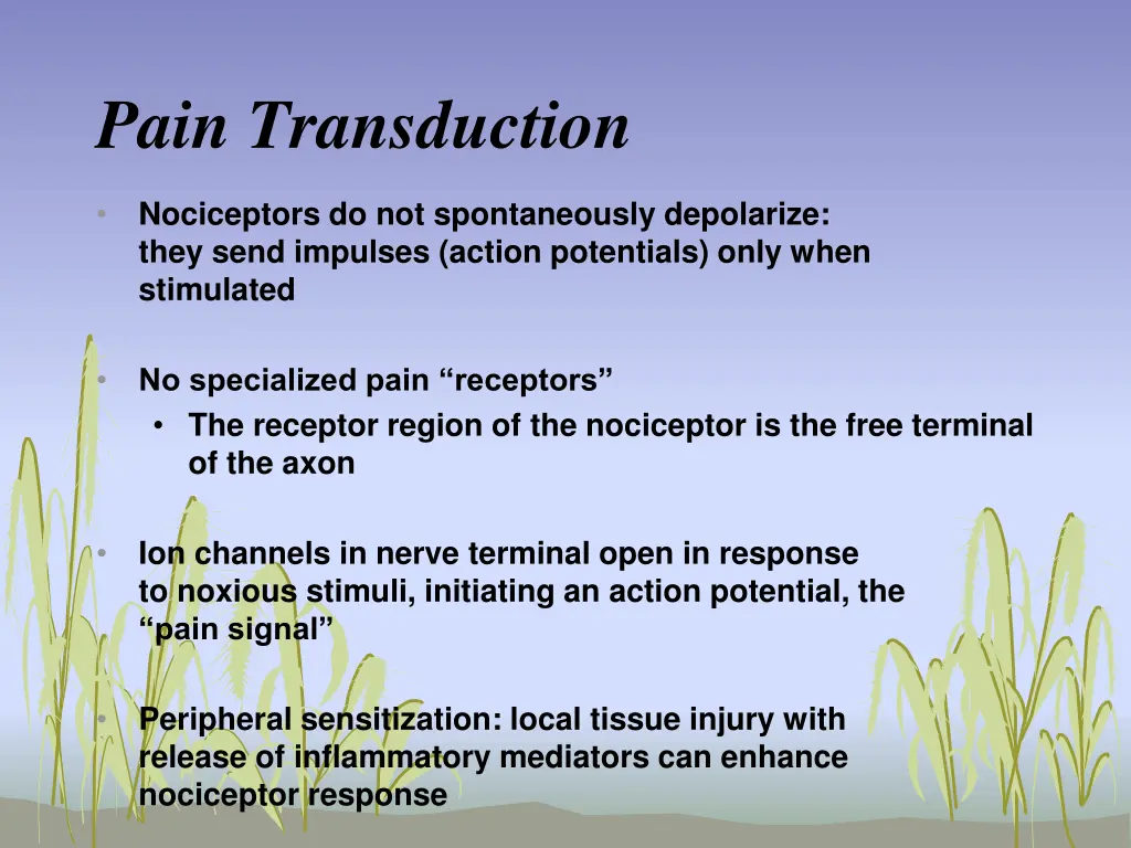 pain transduction 1