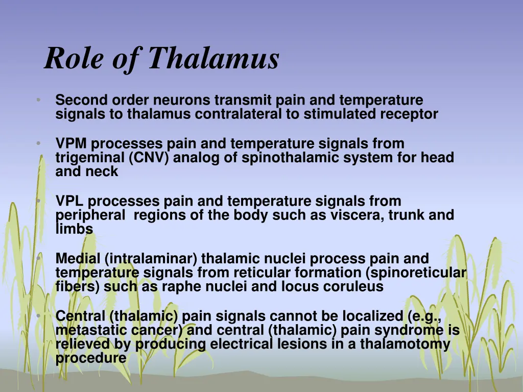 role of thalamus