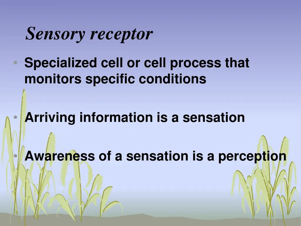 sensory receptor