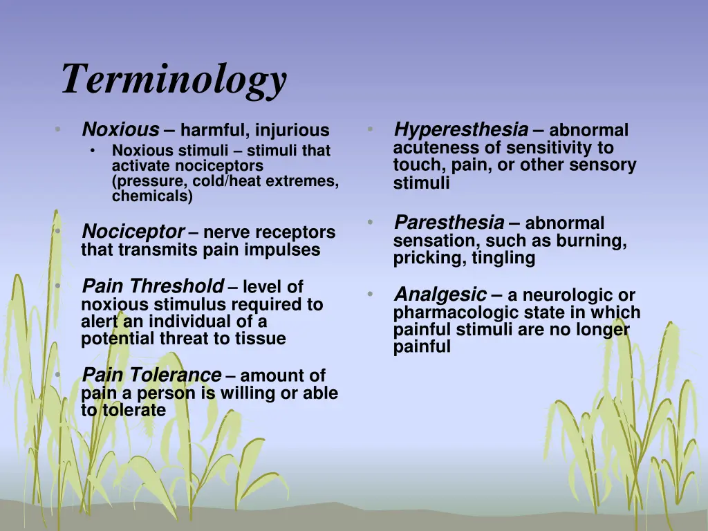 terminology