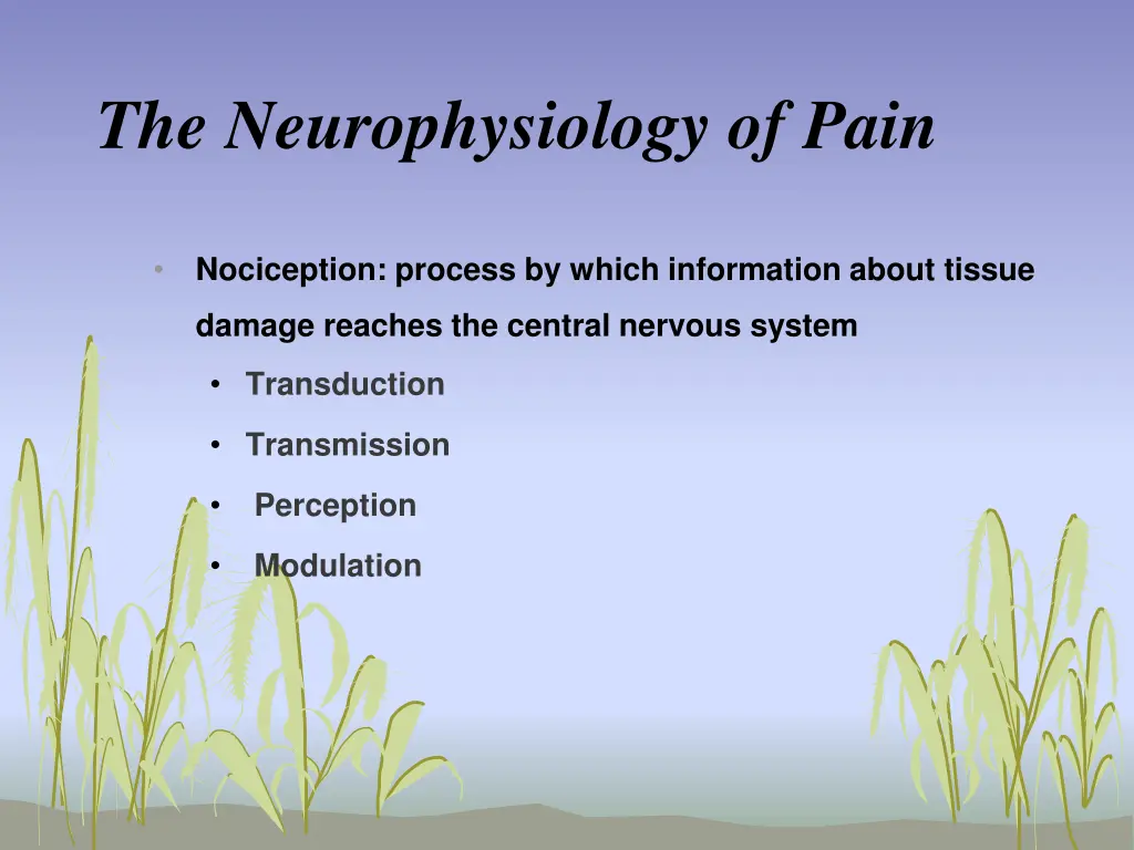 the neurophysiology of pain