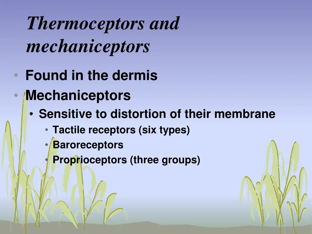 thermoceptors and mechaniceptors