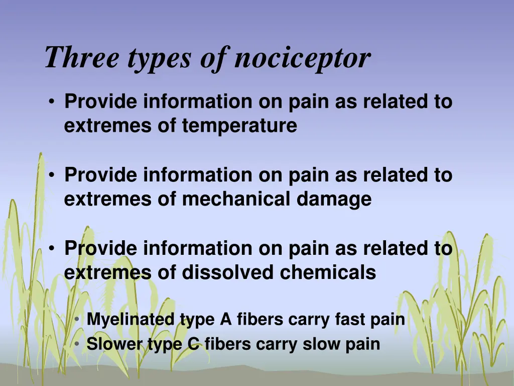 three types of nociceptor