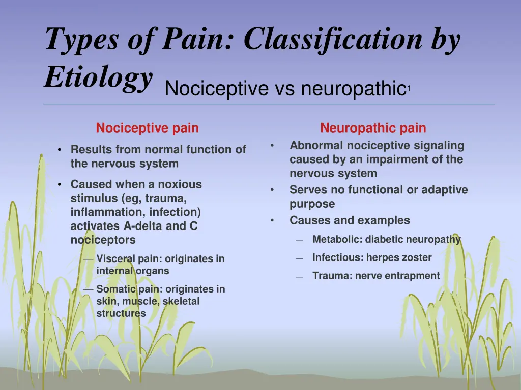 types of pain classification by etiology