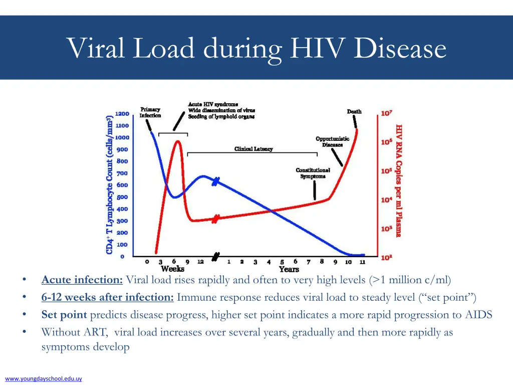 viral load during hiv disease