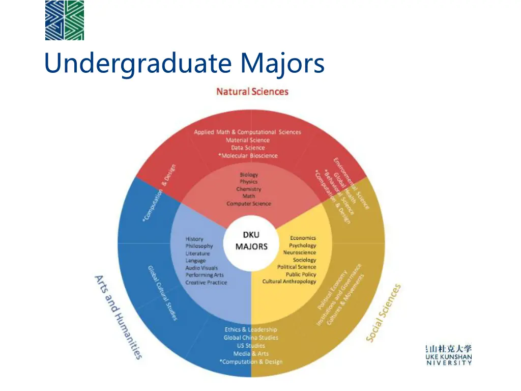 undergraduate majors