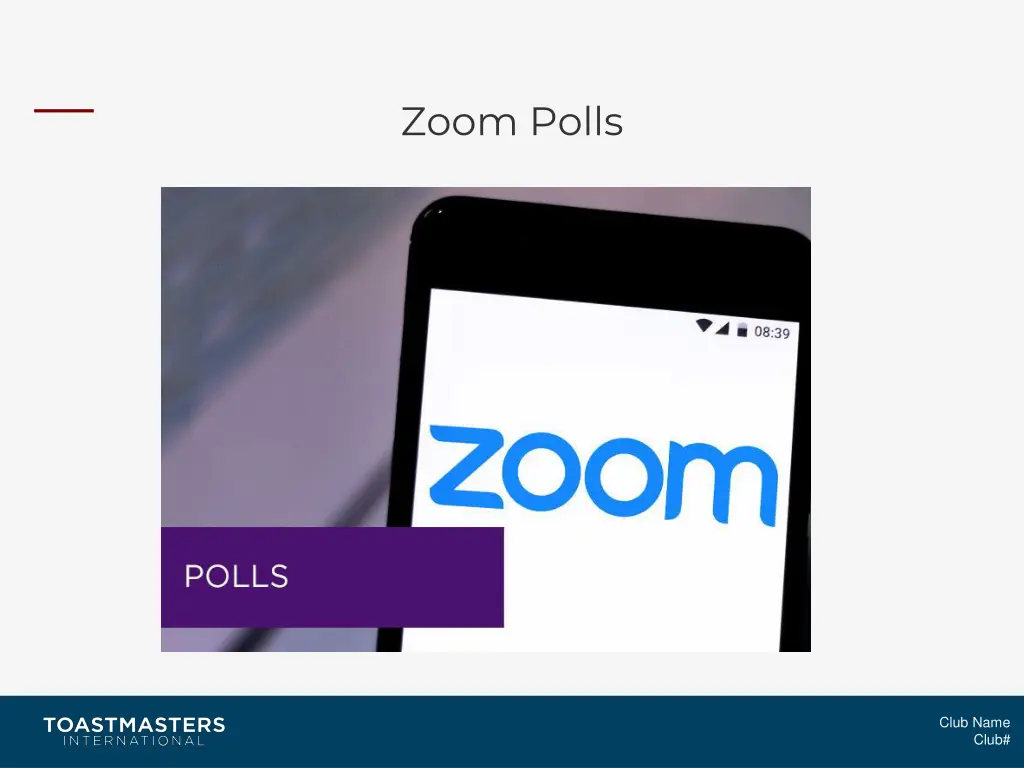 zoom polls