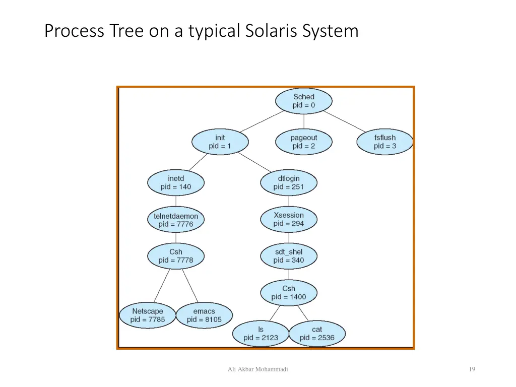 process tree on a typical solaris system