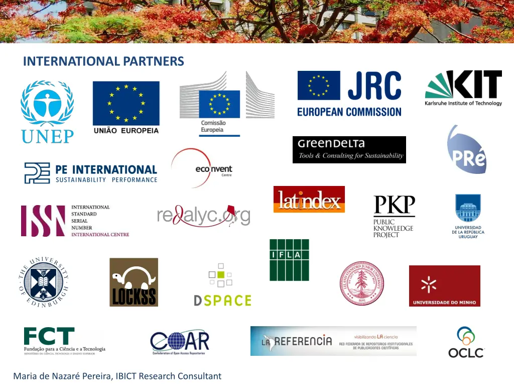 international partners