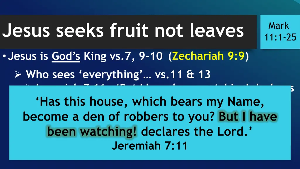 jesus seeks fruit not leaves 1