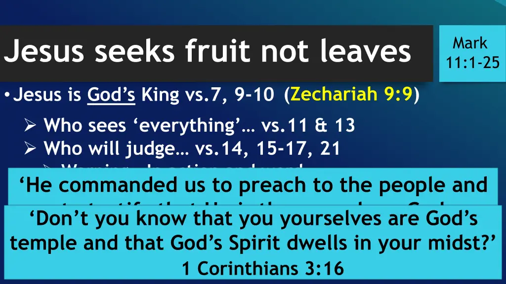 jesus seeks fruit not leaves 3