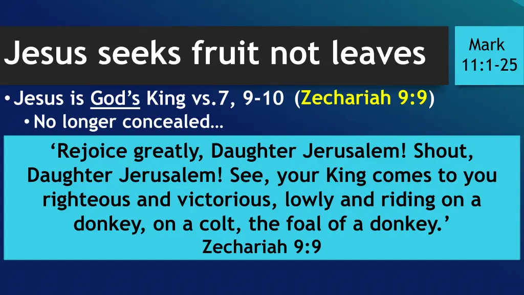 jesus seeks fruit not leaves