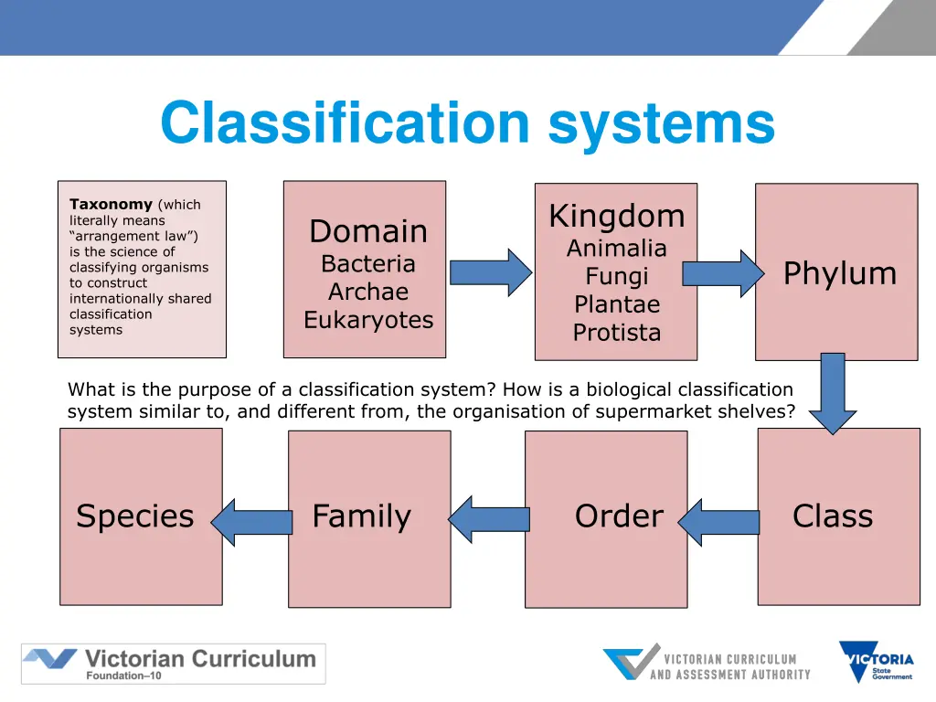 classification systems