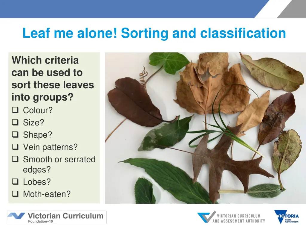 leaf me alone sorting and classification