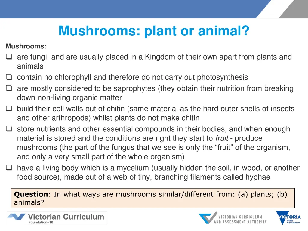 mushrooms plant or animal