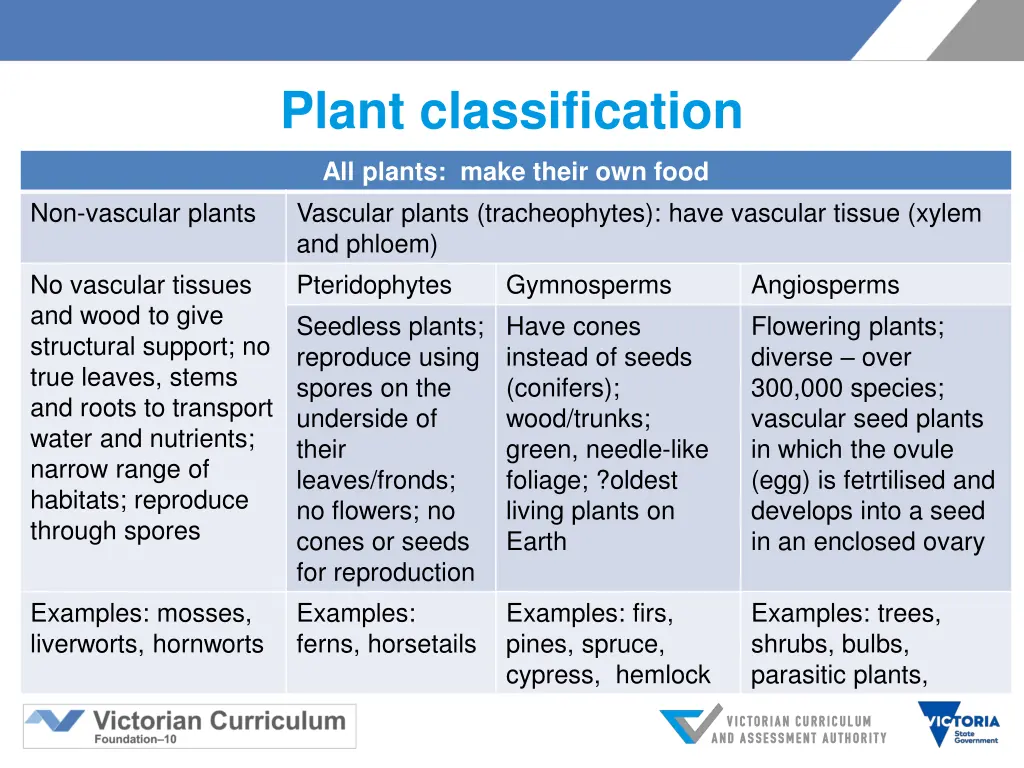 plant classification