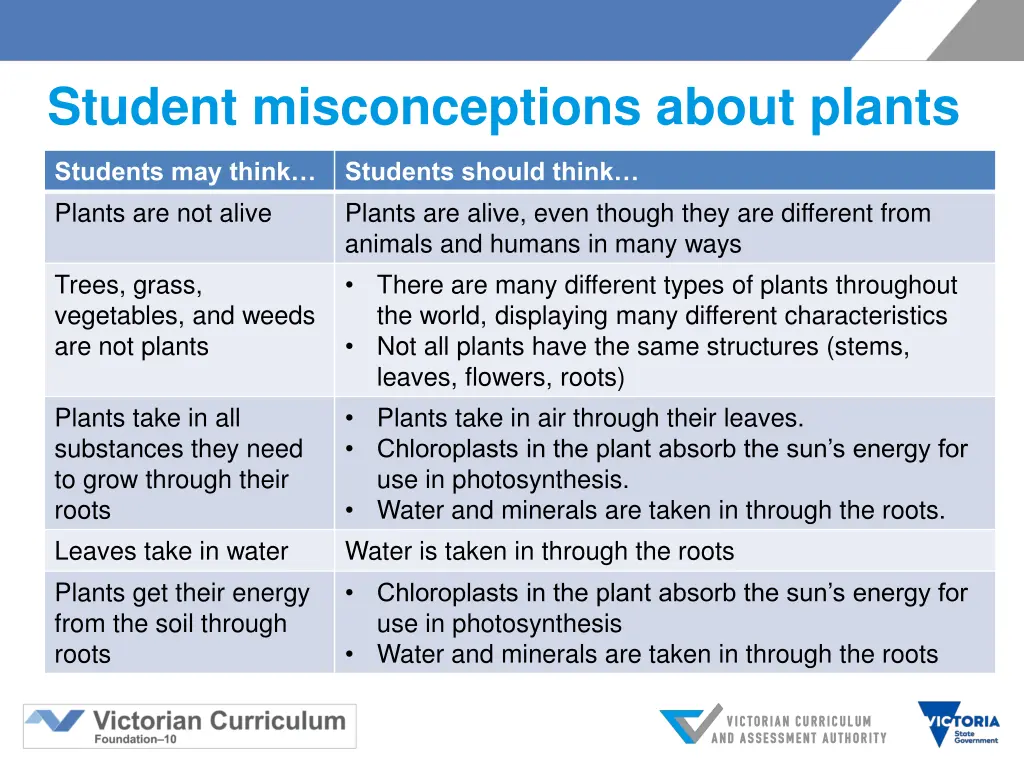 student misconceptions about plants