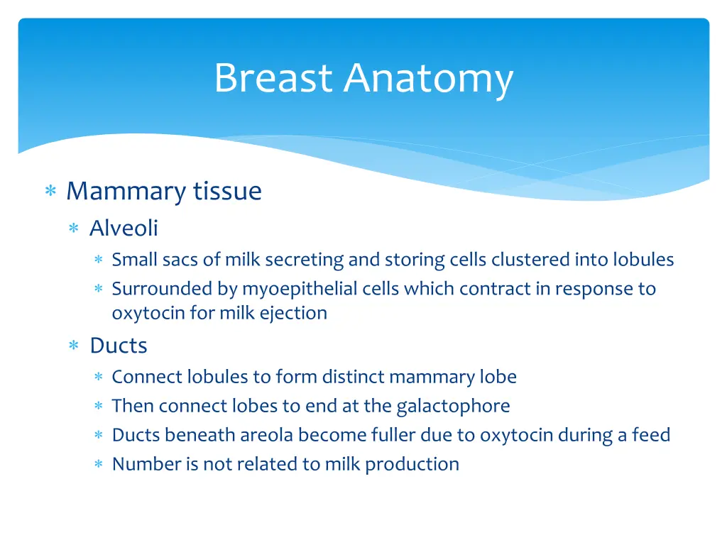 breast anatomy 1