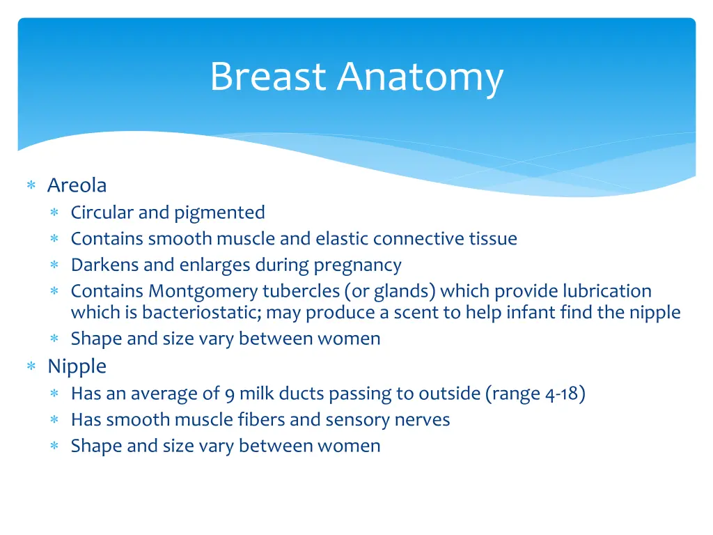 breast anatomy 2