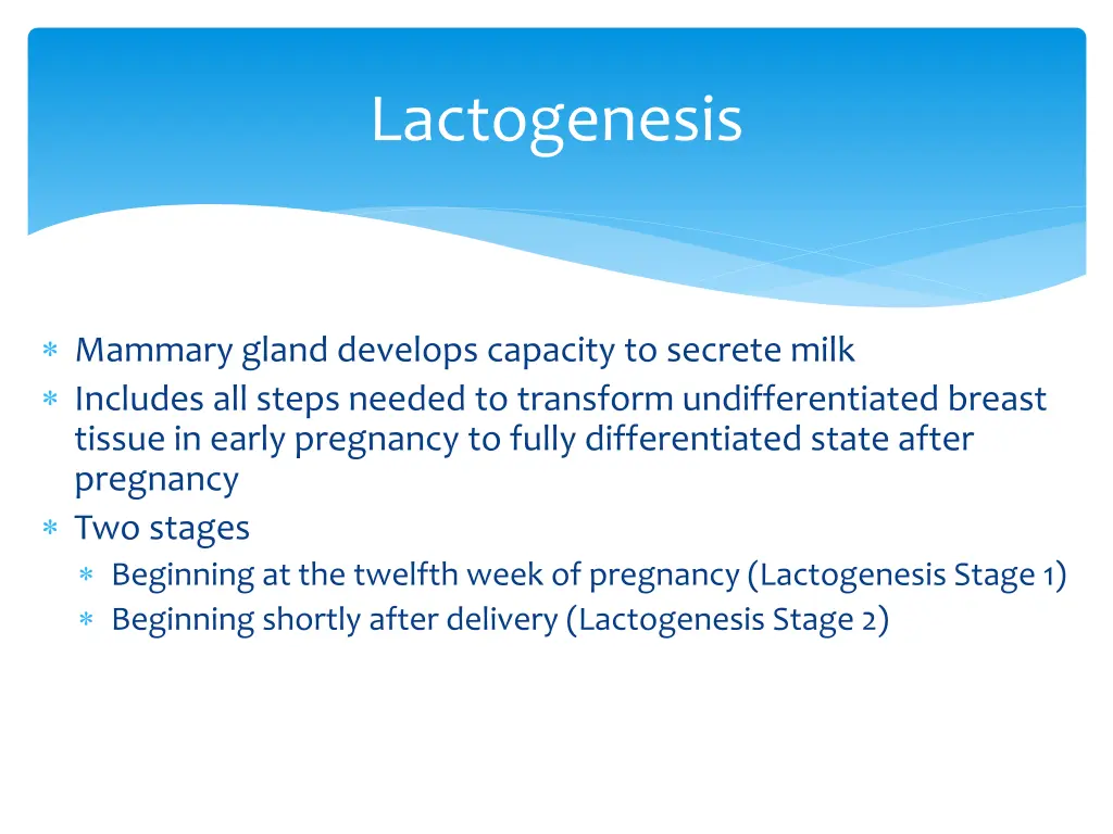 lactogenesis