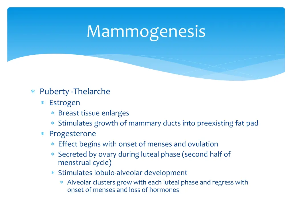 mammogenesis 2