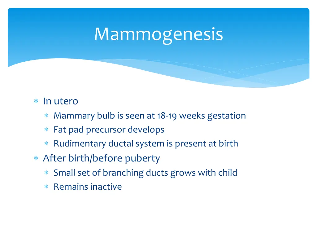 mammogenesis