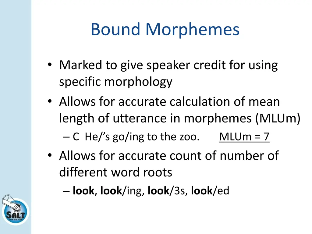 bound morphemes