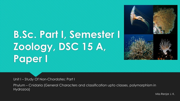 b sc part i semester i zoology dsc 15 a paper i