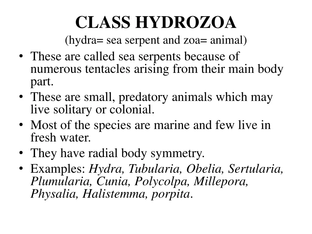 class hydrozoa hydra sea serpent and zoa animal