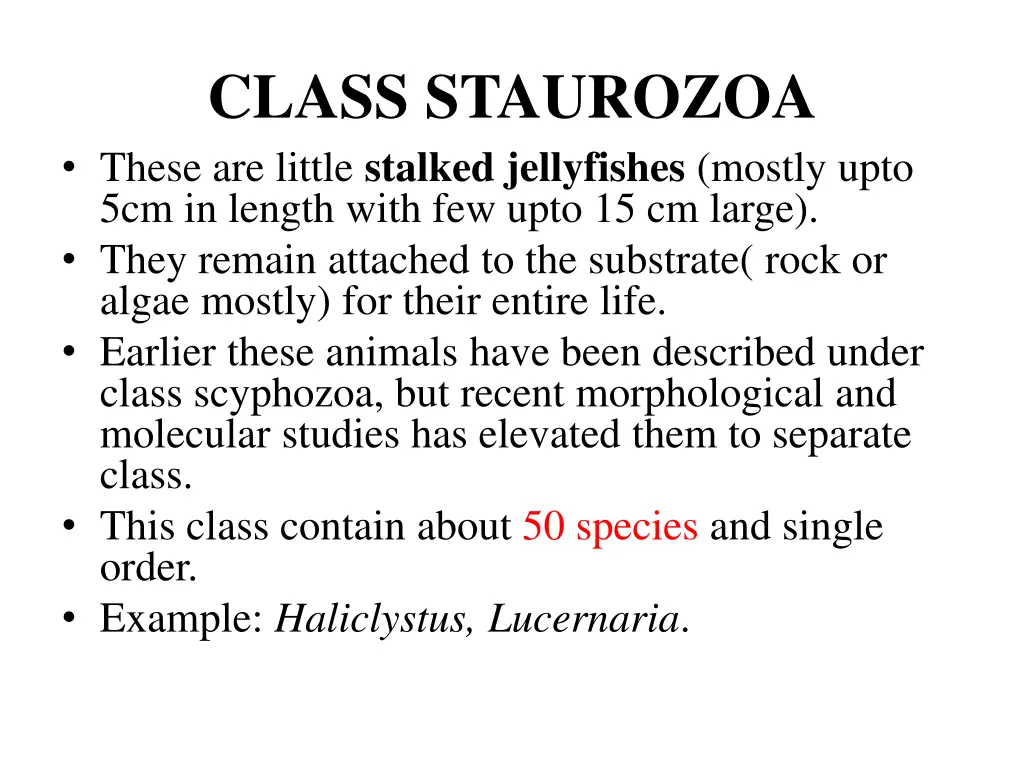 class staurozoa these are little stalked