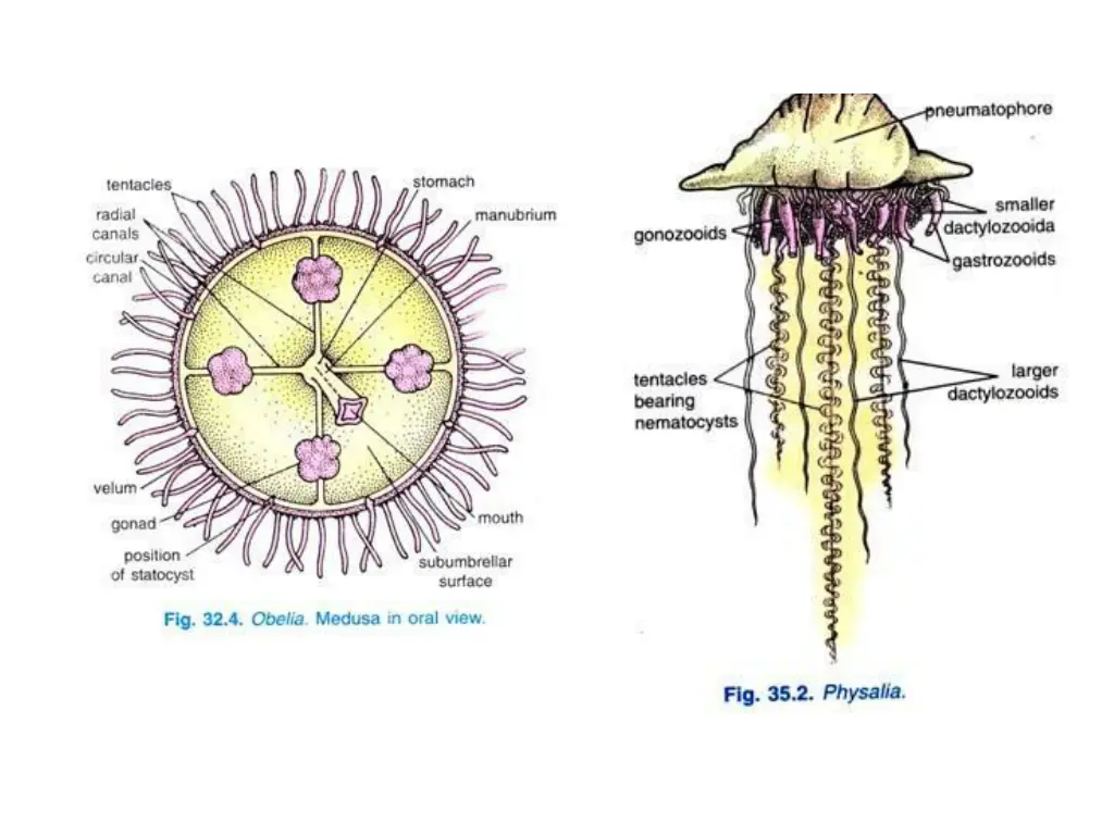 slide6