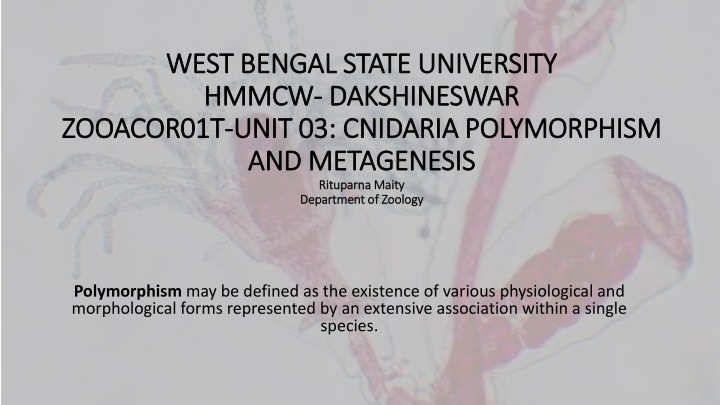 west bengal state university west bengal state