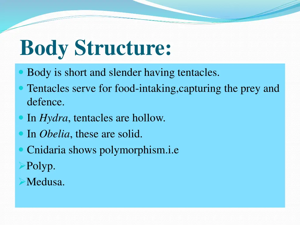 body structure