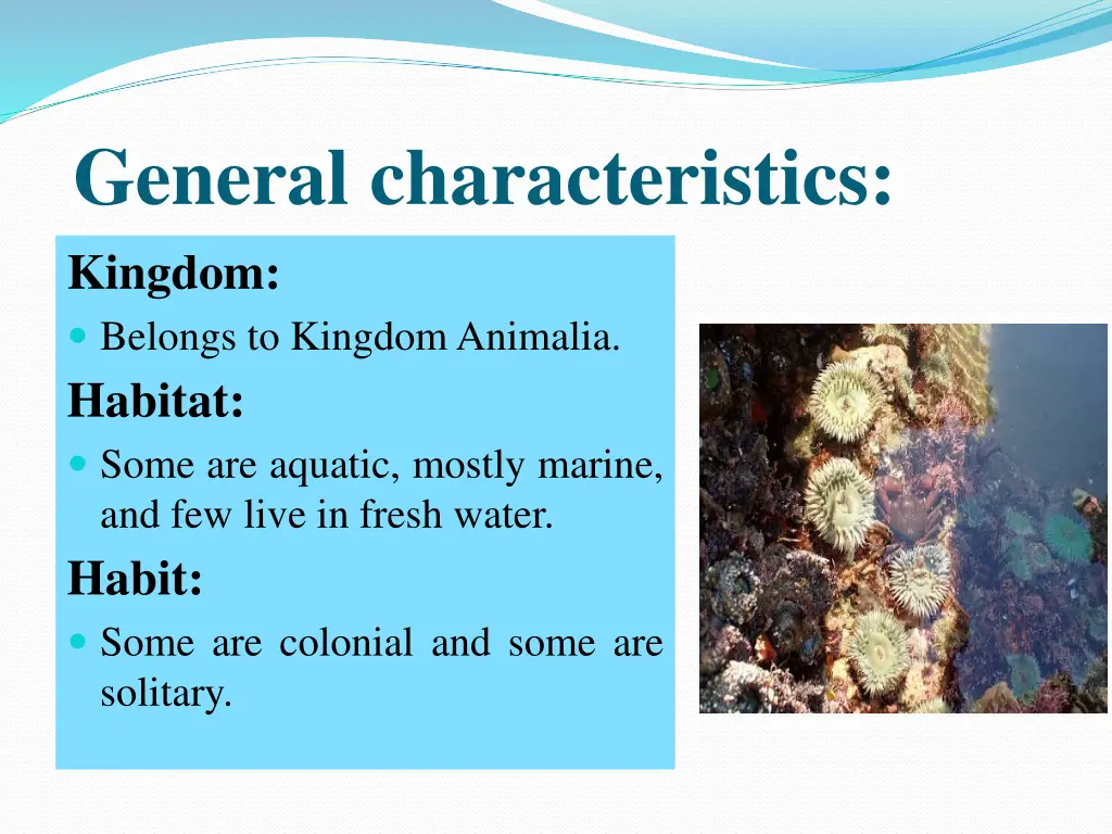 general characteristics kingdom belongs