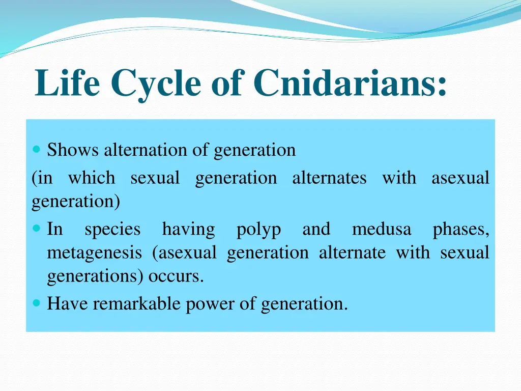 life cycle of cnidarians