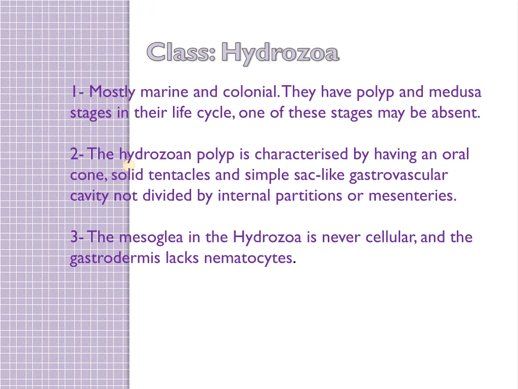 class hydrozoa