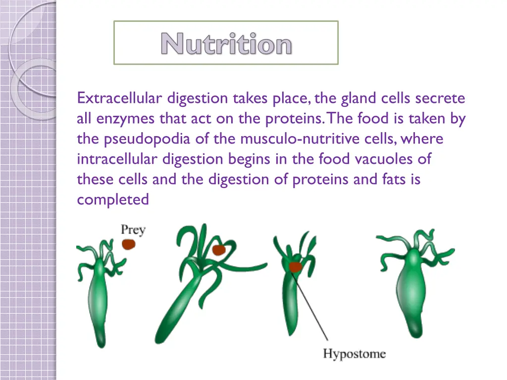 nutrition