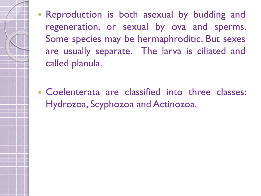 reproduction is both asexual by budding