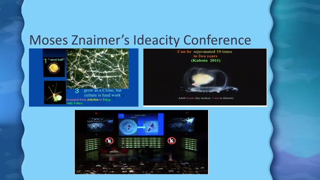 moses znaimer s ideacity conference