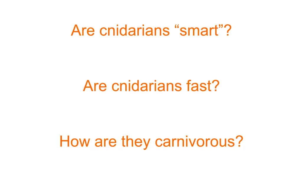 are cnidarians smart