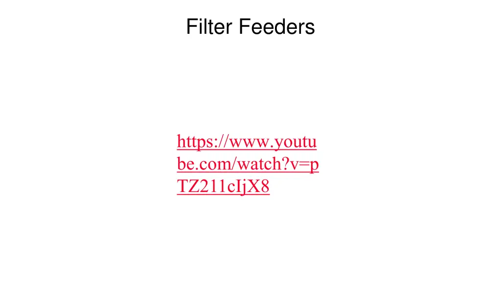 filter feeders