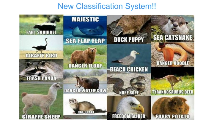 new classification system