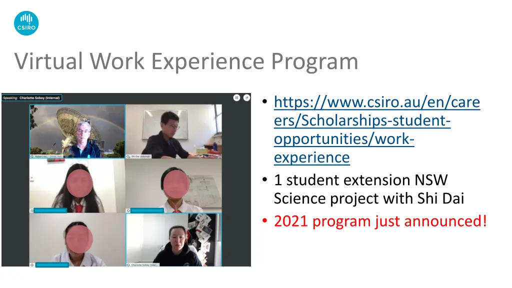 virtual work experience program